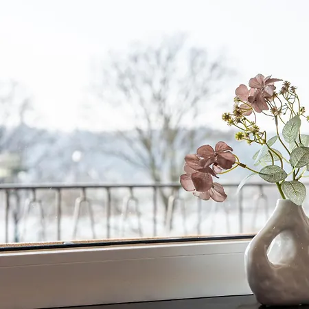 Rheinblick - River View - Old Town - Wine - Coffee - Wifi Apartment *
